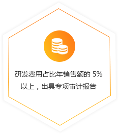 研发费用占比年销售额的 5% 以上，出具专项审计报告 